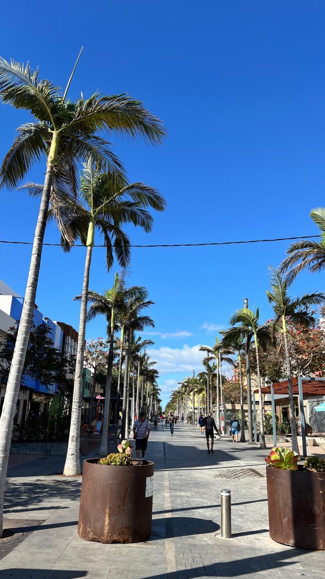 Mirame Canarias Vecindario  Dış mekan fotoğraf